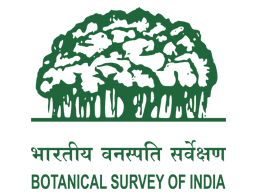 Botanical Survey of India